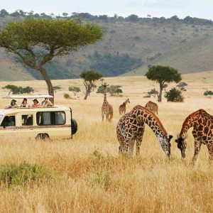 Kenyan National Parks