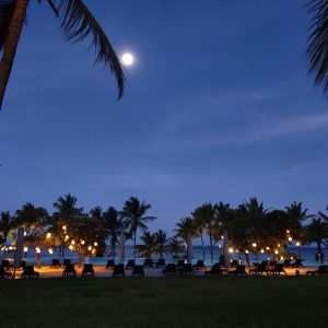 Zanzibar Night L